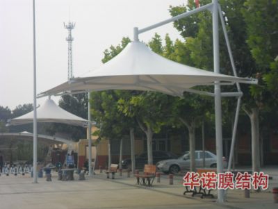 大王西里村委掉傘